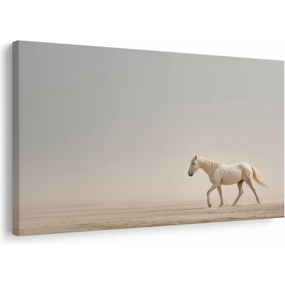 Obraz bílý kůň v poušti - 120x80