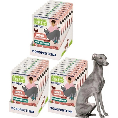 Animal Island Everyday monoproteinové krůtí 27 x 300 g