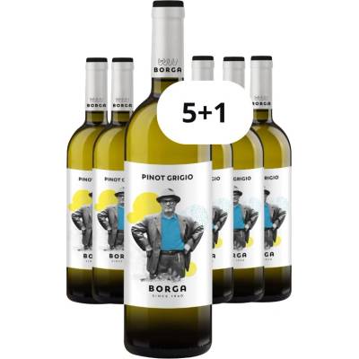 Cantine Borga Pinot grigo 2024 12,5% 6 x 0,75 l (holá láhev)