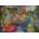 Grafika Art Puzzle - Puzzle Josephine Wall: Dreaming in Color II - 1 500 piese