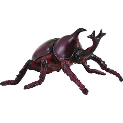 Collecta Nosorožtek obyčajný