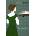 Persuasion | Jane Austen