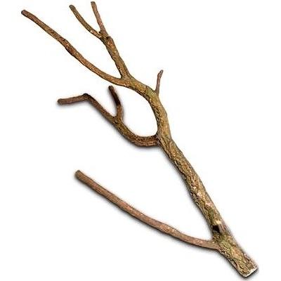 Hobby Cork Branch M 50-75 cm