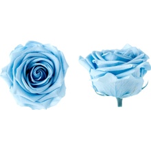 Hlavy ruží - premium 4 ks Sky blue - svetlo modrá