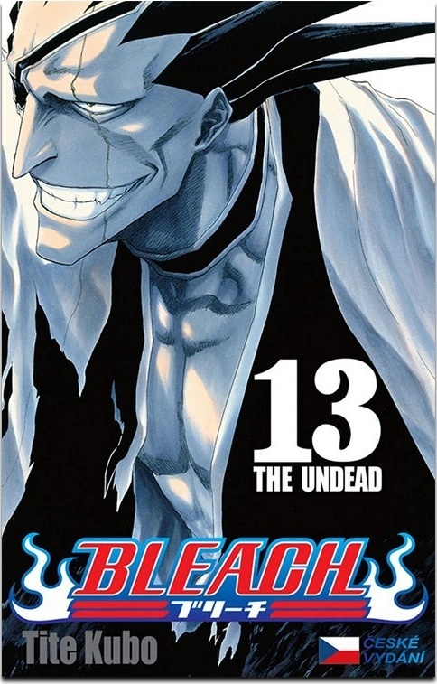 Bleach 13 (česky)
