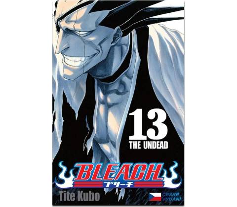Bleach 13 (česky)