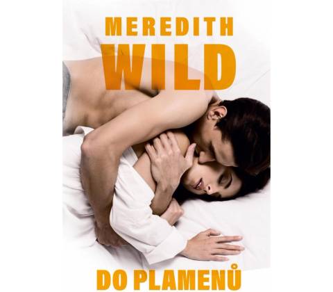 Do plamenů - Meredith Wild
