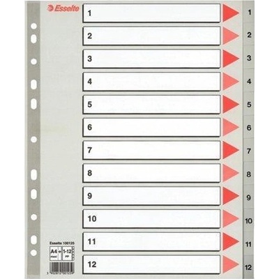 ESSELTE Barevné rejstříky, šedá, A4 Maxi, plast, 1-12, ESSELTE 17679