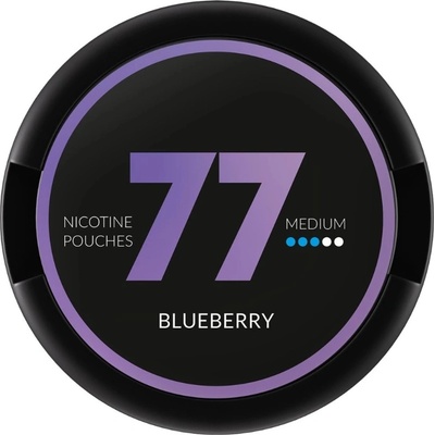 77 Pouches Blueberry 20 mg 20 sáčků – Zboží Dáma 77 Pouches Blueberry 20 mg 20 sáčků – Zboží Dáma