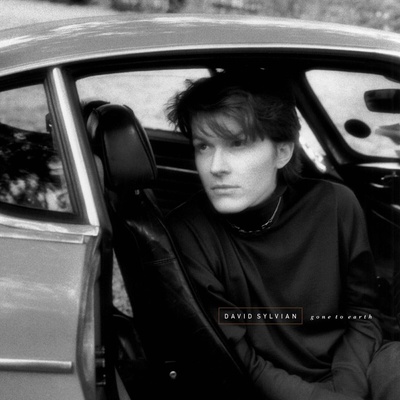 David Sylvian - Gone To Earth (Reissue) (2 LP) (5400863176303)