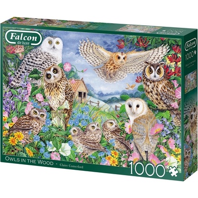 Falcon Sovy v lese 1000 dílků
