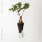 Warner Shaw Caroline & So Percussion: Let The Soil Play Its Simple Part - CD (041800)