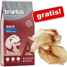 Briantos Adult losos s rýží 14 kg