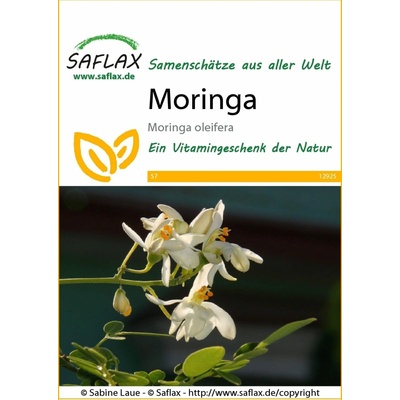 Saflax Moringa - 1 bal.