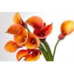 DIMEX ART Флизелинов фототапет кала 375 x 250 см