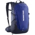 Salomon Trailblazer 30l surf the web/ iris black