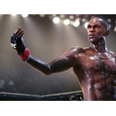 Hry na PS5 EA Sports UFC 5