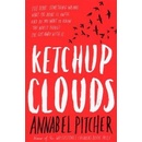 Ketchup Clouds - Annabel Pitcher