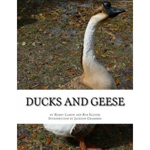 Ducks and Geese | Harry Lamon, Rob Slocum, Jackson Chambers (2016)