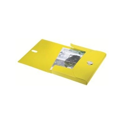 Box na spisy Leitz Recycle žltý
