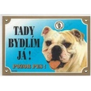 Dafiko Barevná cedulka Pozor pes - Buldog anglický
