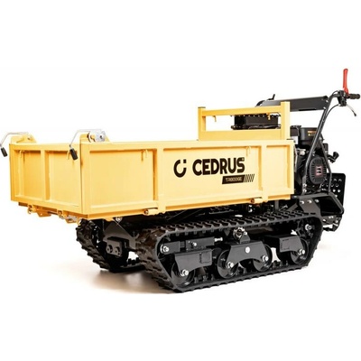 Hahn & Sohn Cedrus TR800G