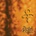 Prince - The Gold Experience - CD