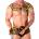 Macho underwear Парфюм macho - alpha eau de parfum 30 ml