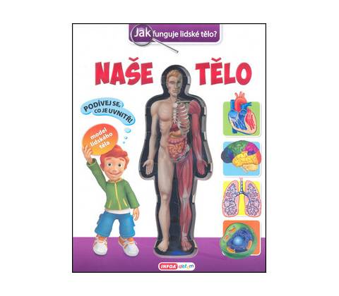 Naše tělo