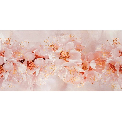 KAI GROUP ДЕКОР СЕЛЕНА ЧЕРЕША 3334 25х50 (3334)