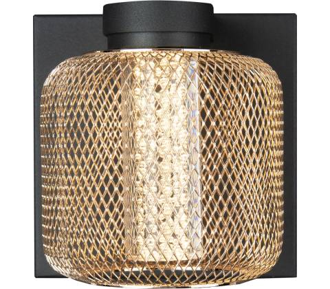 MaxLight W0293