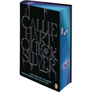 Quicksilver - Tochter des Silbers. Gefangener der Schatten (ISBN: 9783328604792)