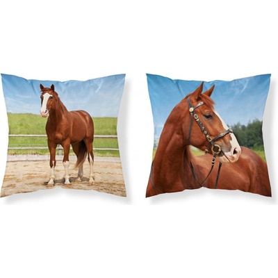 Detexpol Kôň v ohrade Polyester 40 x 40 cm