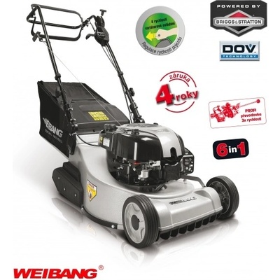WEIBANG WB 486 SB V-R