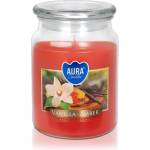 BISPOL Vanilla & Amber ароматна свещ 500ml