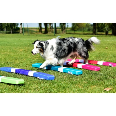 Agility měkké překážky pro psa tréninková sada 3 ks