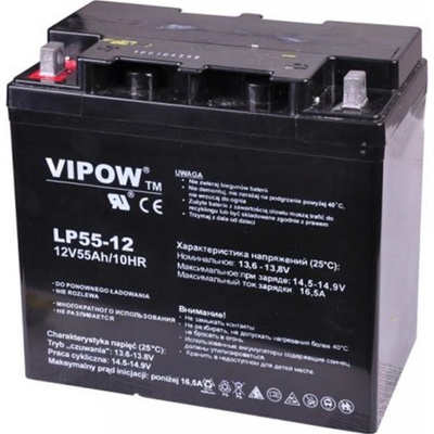 Vipow 12V 55Ah