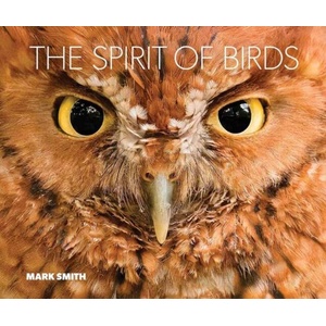 The Spirit of Birds (ISBN: 9781423669876)