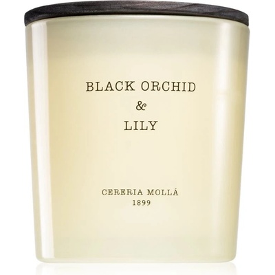 Cereria Mollá Black Orchid & Lily 600 ml