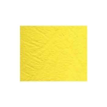 T-Safe ASJ2-M