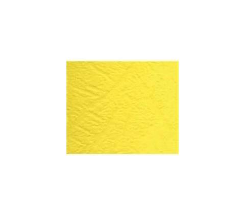 T-Safe ASJ2-M