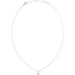 Daniel Wellington Дамско стоманено колие Daniel Wellington DW00401957 Daniel Wellington | Mnogotsveten | ЖЕНИ | UNI