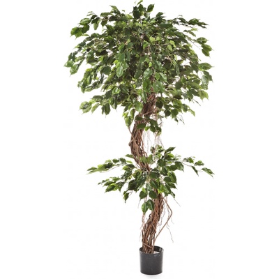 Umelý strom Fíkus - špirálový prírodný kmeň deluxe, 180cm
