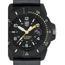 Luminox 3601