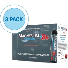 Salutem Magnesium Chelát + B6 30 ampuliek 30x25 ml ampuliek višňa