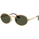 Ray-Ban RB3931 001/31