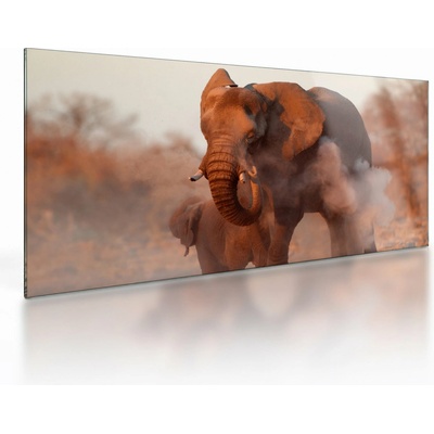 Sklenený obraz - Veľký slon africký, jednodielne 100x50 cm na skle