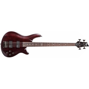 Schecter SGR C-4