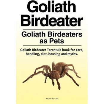 Goliath Birdeater . Goliath Birdeaters as Pets. Goliath Birdeater Tarantula book for care, handling, diet, housing and myths. | Adam Burton