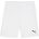 PUMA Teamgoal shorts l